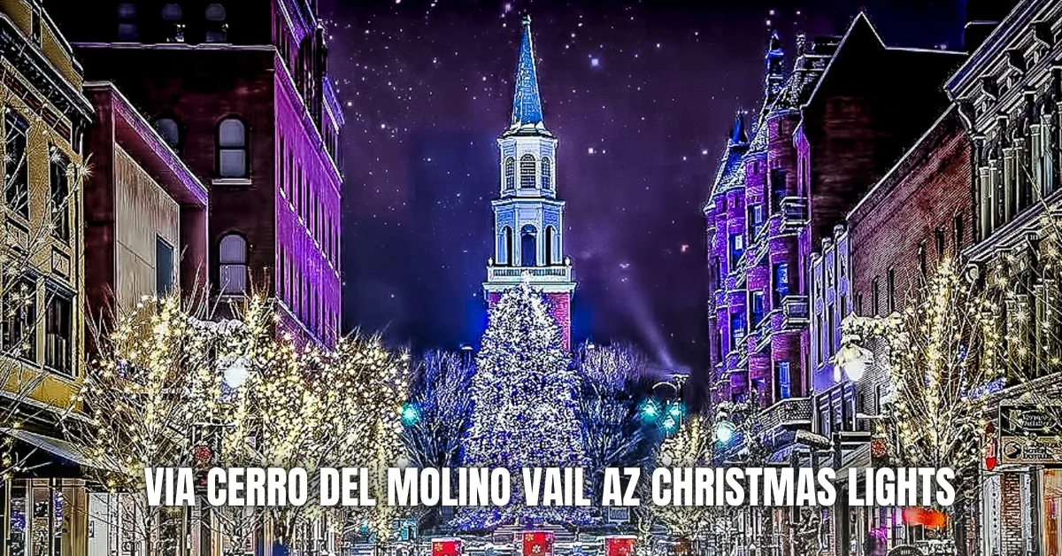 Via Cerro Del Molino Vail AZ Christmas Lights